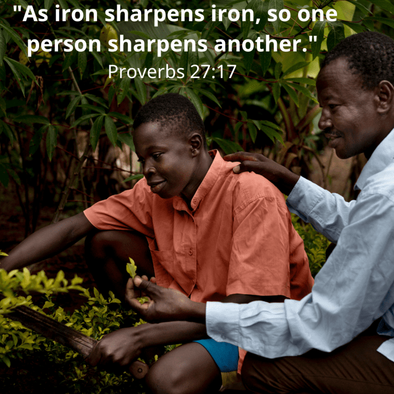 Proverbs 27 v 17