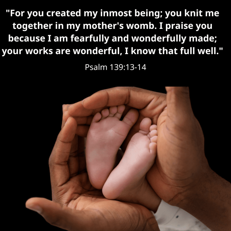 For you created my inmost being; you knit me together in my mother's womb. I praise you because I am fearfully and wonderfully made; your works are wonderful, I know that full well.