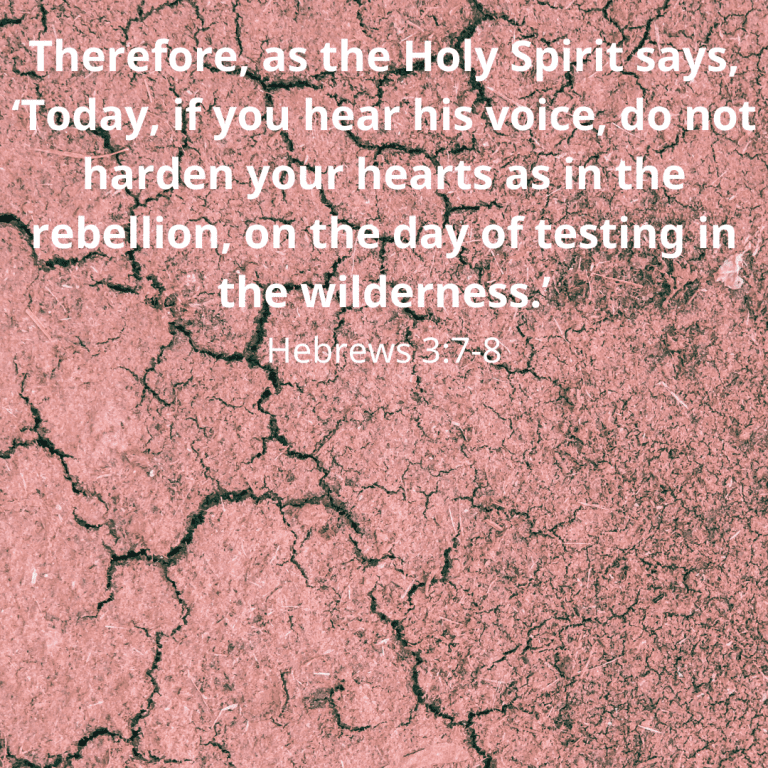 Therefore, as the Holy Spirit says, ‘Today, if you hear his voice, do not harden your hearts as in the rebellion, on the day of testing in the wilderness.