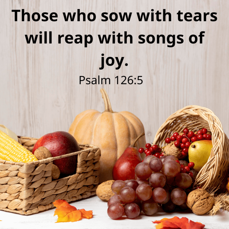 Those who sow with tears will reap with songs of joy