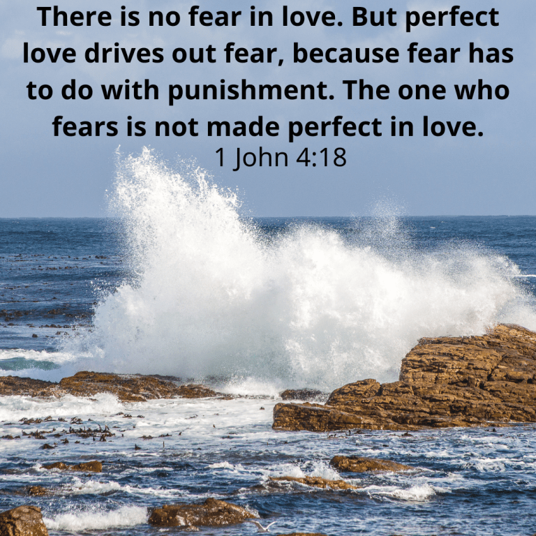 There is no fear in love. But perfect love drives out fear, because fear has to do with punishment. The one who fears is not made perfect in love.