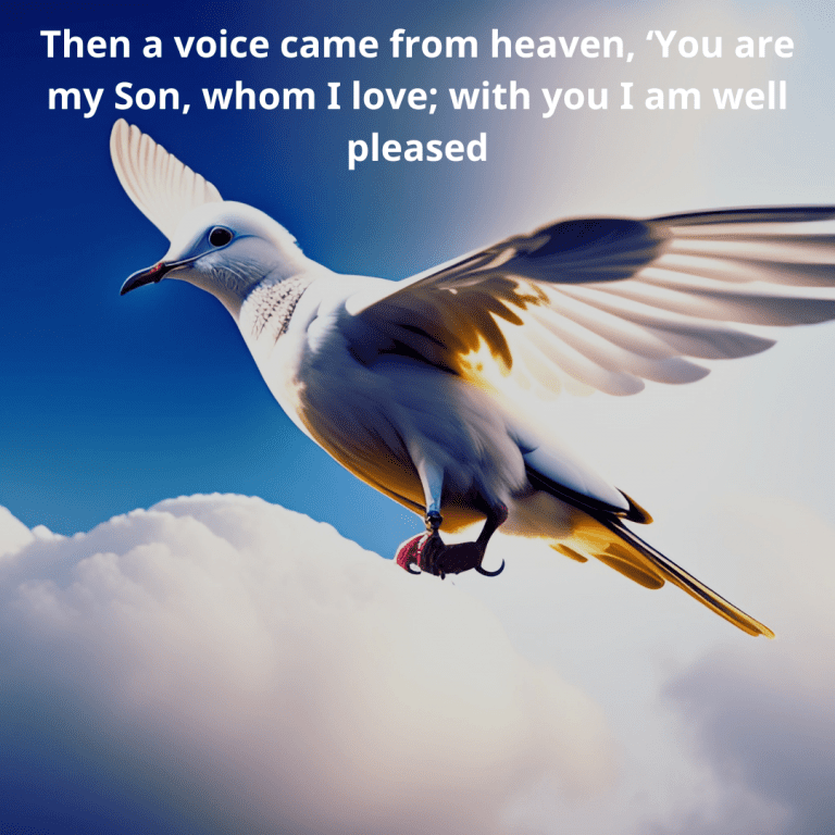 Then a voice came from heaven, ‘You are my Son, whom I love; with you I am well pleased