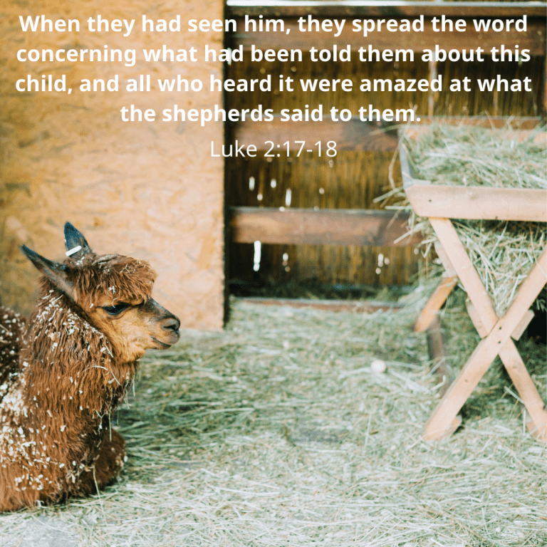 When they had seen him, they spread the word concerning what had been told them about this child, and all who heard it were amazed at what the shepherds said to them.