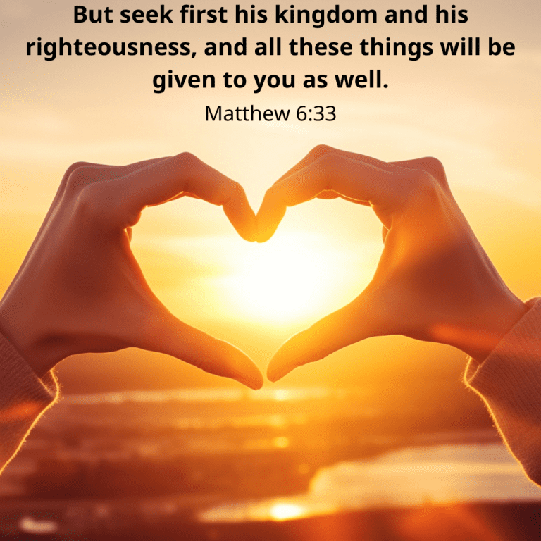 But seek first his kingdom and his righteousness, and all these things will be given to you as well.