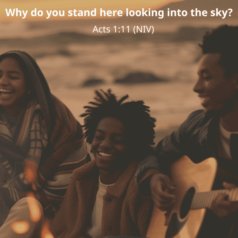 Why do you stand here looking into the sky