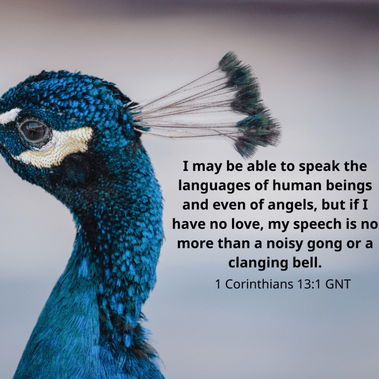 I may be able to speak the languages of human beings and even of angels, but if I have no love, my speech is no more than a noisy gong or a clanging bell.