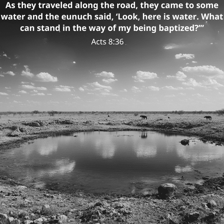 As they traveled along the road, they came to some water and the eunuch said, ‘Look, here is water. What can stand in the way of my being baptized’”