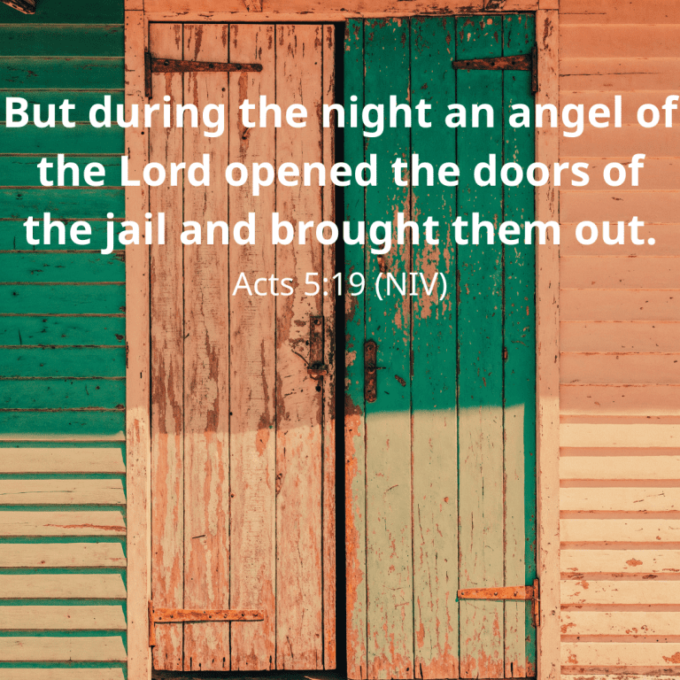 But during the night an angel of the Lord opened the doors of the jail and brought them out.