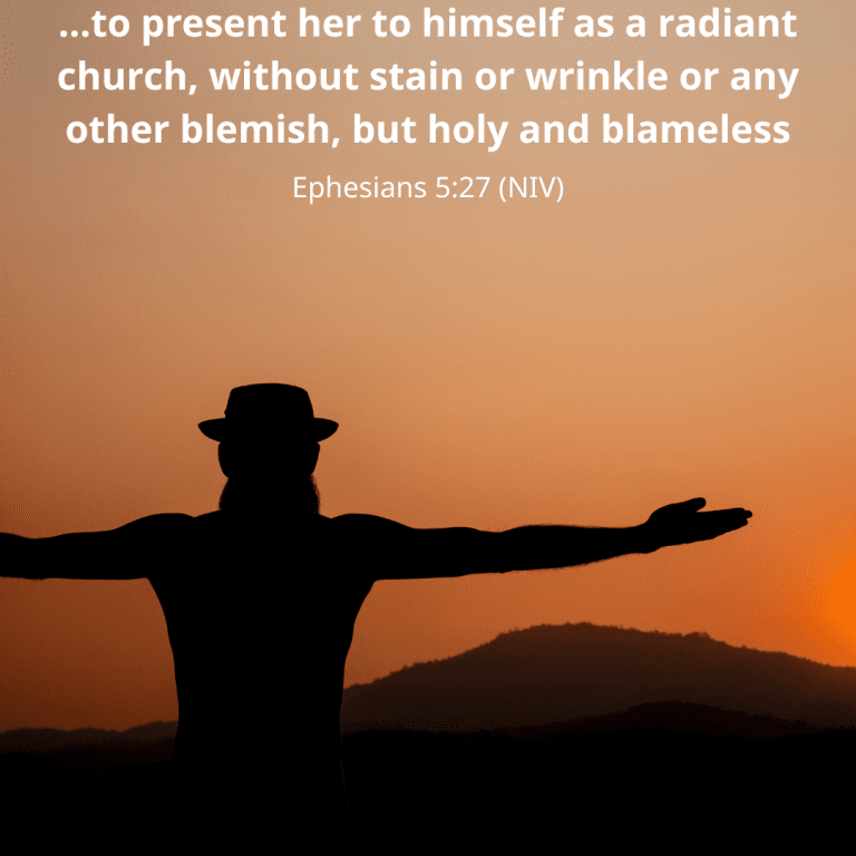 …to present her to himself as a radiant church, without stain or wrinkle or any other blemish, but holy and blameless