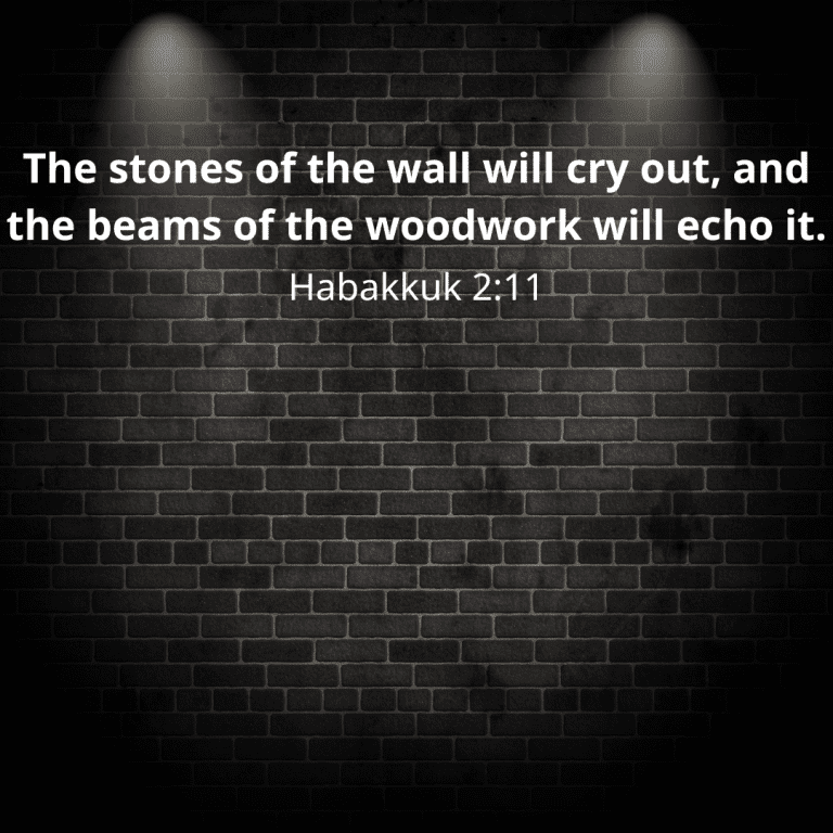 The stones of the wall will cry out, and the beams of the woodwork will echo it.-7