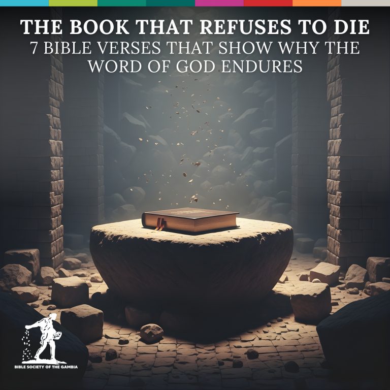 BOOK 1